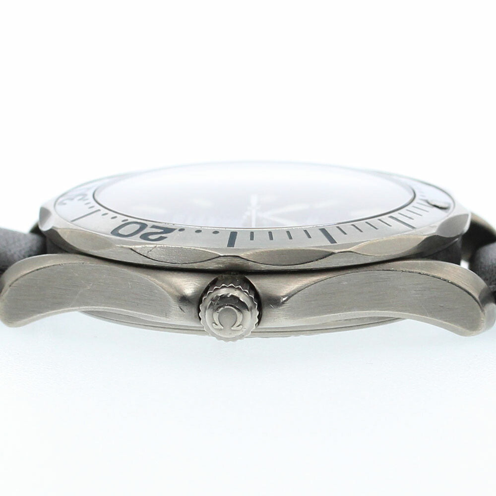 OMEGA 2232.80 Seamaster Professional 300 Date Automatic Men's Watch with Warranty