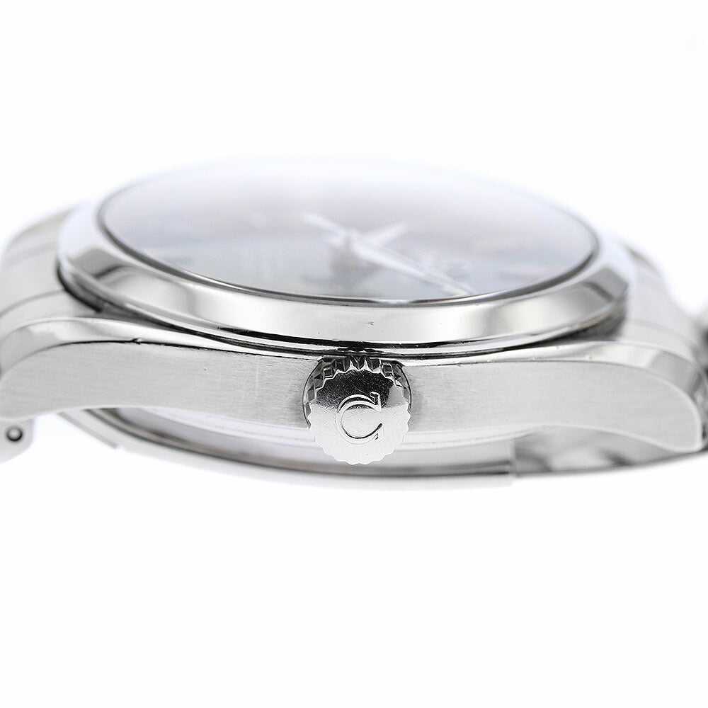 OMEGA 2504.80 Seamaster Aqua Terra Date Automatic Boys' Watch