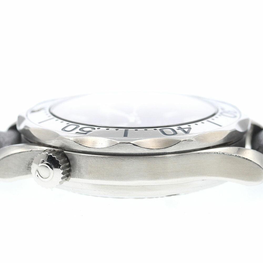 OMEGA 2253.80 Seamaster 300 Date Automatic Boys' Watch