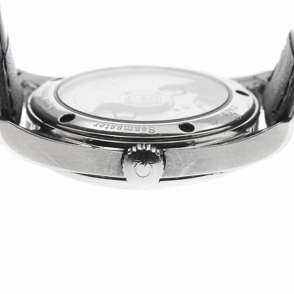 OMEGA 2504.50 Seamaster Aqua Terra Date Co-Axial Chronometer Automatic Boys' Watch with Warranty